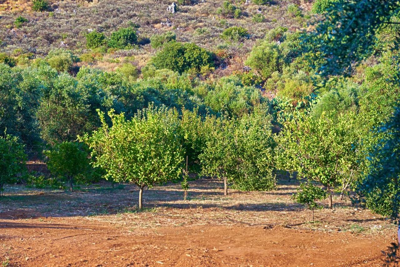 Villa Harma-Exopolis Georgioupoli Buitenkant foto